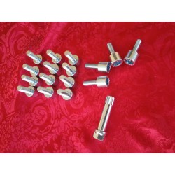 1 Set of bolts 16 pcs. M10x1,5x24 Fiat 500/126 Autobianchi Bianchina